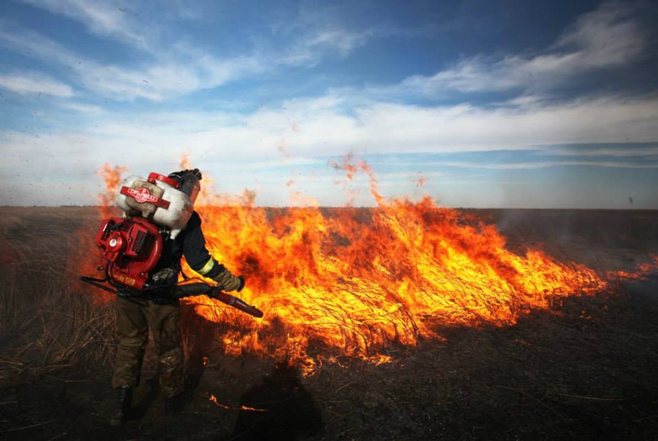 Член Дружины с волонтерской противопожарной командой, район Астраханского заповедника, Дельта Волги, 2014 год