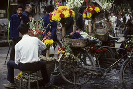 Fred Strebeigh, Chengdu market